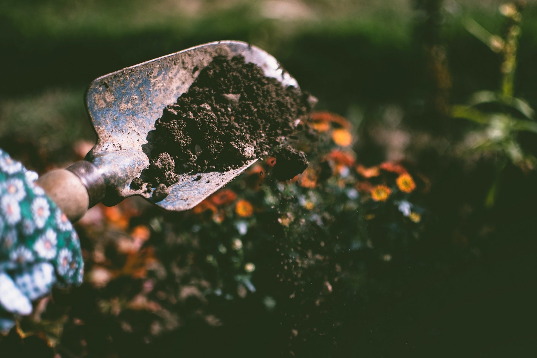 5 Amazing Benefits of Gardening