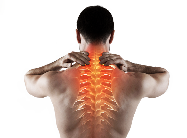 What Are Common Types of Back Pain? How To Support Your Back