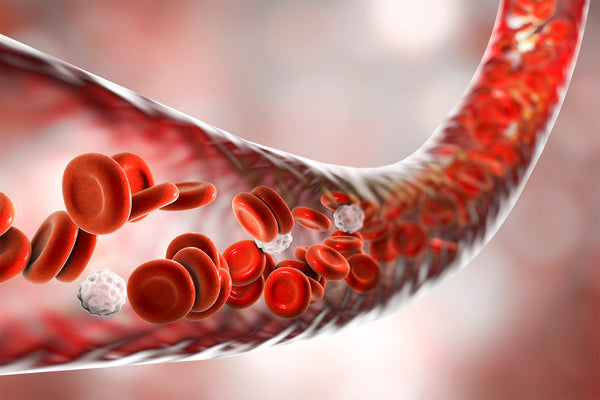 The Science Behind Increasing Blood Flow To Heal Injuries
